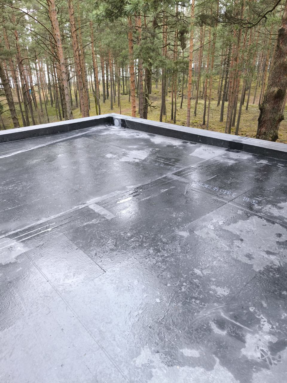 Privātmāja Priedainē